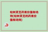 松树灵芝药用价值和功效(松树灵芝的药用价值和功效)