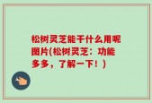 松树灵芝能干什么用呢图片(松树灵芝：功能多多，了解一下！)
