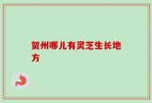 贺州哪儿有灵芝生长地方