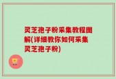 灵芝孢子粉采集教程图解(详细教你如何采集灵芝孢子粉)