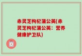 赤灵芝枸杞蒲公英(赤灵芝枸杞蒲公英：营养健康护卫队)