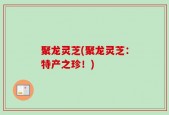 聚龙灵芝(聚龙灵芝：特产之珍！)