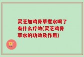 灵芝加鸡骨草煮水喝了有什么疗效(灵芝鸡骨草水的功效及作用)