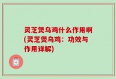 灵芝煲乌鸡什么作用啊(灵芝煲乌鸡：功效与作用详解)