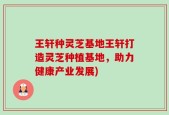 王轩种灵芝基地王轩打造灵芝种植基地，助力健康产业发展)