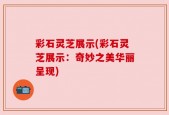 彩石灵芝展示(彩石灵芝展示：奇妙之美华丽呈现)