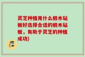 灵芝种植用什么椴木砧板好选择合适的椴木砧板，有助于灵芝的种植成功)