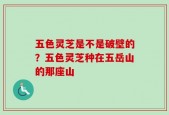 五色灵芝是不是破壁的？五色灵芝种在五岳山的那座山