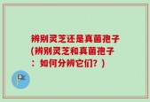 辨别灵芝还是真菌孢子(辨别灵芝和真菌孢子：如何分辨它们？)