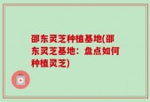 邵东灵芝种植基地(邵东灵芝基地：盘点如何种植灵芝)