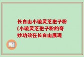 长白山小璇灵芝孢子粉(小璇灵芝孢子粉的奇妙功效在长白山展现