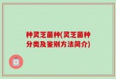 种灵芝菌种(灵芝菌种分类及鉴别方法简介)