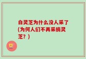 白灵芝为什么没人采了(为何人们不再采摘灵芝？)
