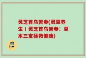 灵芝首乌苦参(灵草养生丨灵芝首乌苦参：草本三宝拯救健康)