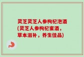 灵芝灵芝人参枸杞泡酒(灵芝人参枸杞蜜酒，草本滋补，养生佳品)