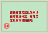 西藏林芝灵芝批发市场在哪重返林芝，探寻灵芝批发市场所在地