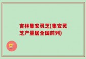 吉林集安灵芝(集安灵芝产量居全国前列)