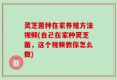 灵芝菌种在家养殖方法视频(自己在家种灵芝菌，这个视频教你怎么做)