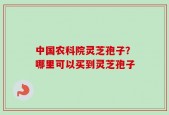 中国农科院灵芝孢子？哪里可以买到灵芝孢子