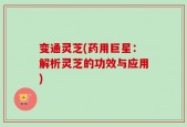 变通灵芝(药用巨星：解析灵芝的功效与应用)