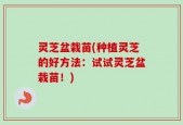灵芝盆栽苗(种植灵芝的好方法：试试灵芝盆栽苗！)