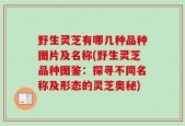 野生灵芝有哪几种品种图片及名称(野生灵芝品种图鉴：探寻不同名称及形态的灵芝奥秘)