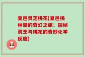 夏邑灵芝桃花(夏邑桃林里的奇幻之旅：探秘灵芝与桃花的奇妙化学反应)