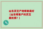 山东灵芝产地哪里最好 (山东哪里产的灵芝最优质？)