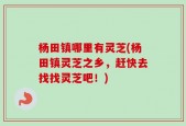 杨田镇哪里有灵芝(杨田镇灵芝之乡，赶快去找找灵芝吧！)