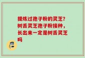 提炼过孢子粉的灵芝？树舌灵芝孢子粉接种，长出来一定是树舌灵芝吗
