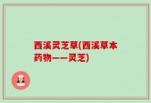 西溪灵芝草(西溪草本药物——灵芝)