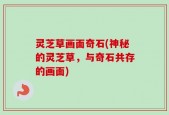 灵芝草画面奇石(神秘的灵芝草，与奇石共存的画面)