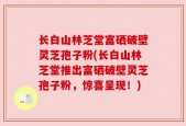 长白山林芝堂富硒破壁灵芝孢子粉(长白山林芝堂推出富硒破壁灵芝孢子粉，惊喜呈现！)