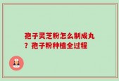 孢子灵芝粉怎么制成丸？孢子粉种植全过程