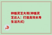 种植灵芝大哥(种植灵芝达人：打造高效长寿生活方式)