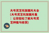大号灵芝托架图片大全(大号灵芝托架图片集：让你轻松了解大号灵芝种植与收获)