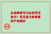 云南哪里可以捡到灵芝孢子？灵芝孢子粉哪里的产地最好