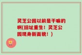灵芝公园以前是干嘛的啊(旧址重生！灵芝公园现身新面貌！)