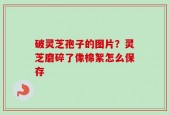 破灵芝孢子的图片？灵芝磨碎了像棉絮怎么保存