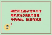 破壁灵芝孢子功效与作用及禁忌(破解灵芝孢子的功效、使用和禁忌)