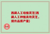西藏人工培植灵芝(西藏人工种植高效灵芝，提升品质产量)