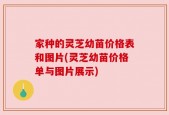 家种的灵芝幼苗价格表和图片(灵芝幼苗价格单与图片展示)