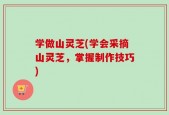 学做山灵芝(学会采摘山灵芝，掌握制作技巧)