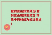登封嵩山野生灵芝(登封嵩山现野生灵芝 珍贵中药材成为关注焦点)