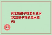 灵芝出孢子粉怎么浇水(灵芝孢子粉的浇水技巧)