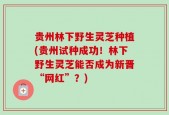 贵州林下野生灵芝种植(贵州试种成功！林下野生灵芝能否成为新晋“网红”？)