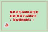 黑色灵芝与褐色灵芝的区别(黑灵芝与褐灵芝：你知道区别吗？)