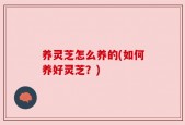 养灵芝怎么养的(如何养好灵芝？)