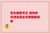 景东破壁灵芝 独特养生瑰宝蕴含无限健康潜能