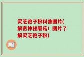 灵芝孢子粉科普图片(解密神秘蘑菇！图片了解灵芝孢子粉)
